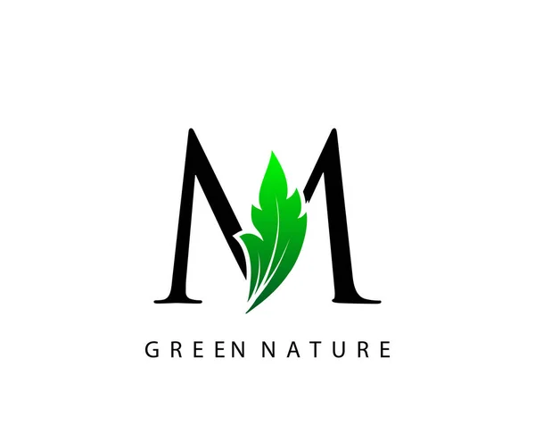 Nature Lettre Green Leaf Logo Design — Image vectorielle
