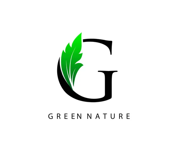 Nature Lettre Green Leaf Logo Design — Image vectorielle