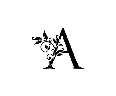 Butik, Mücevher, Güzellik Salonu, Kozmetik, Kaplıca, Otel ve Restoran Logosu için Siyah Yapraklar Şekil Tasarımı Mükemmel.