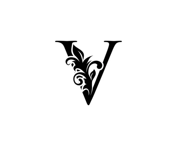 Черный Цветочный Шейповым Дизайном Листвы Идеально Подходит Бутика Ювелирного Магазина — стоковый вектор