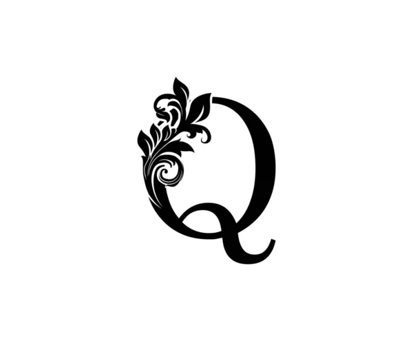 美容美发 化妆品 酒店及餐厅标志设计完美的黑色花卉Q型叶型设计 — 图库矢量图片
