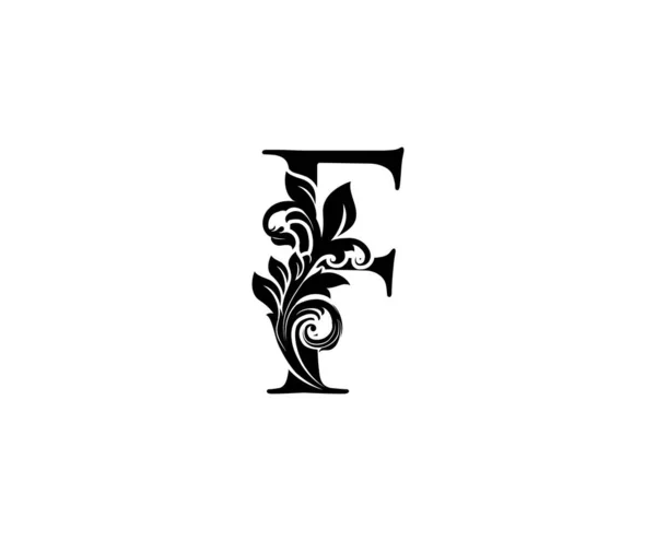 Μαύρο Floral Φινετσάτο Σχέδιο Σχήμα Φύλλων Ιδανικό Για Boutique Κοσμήματα — Διανυσματικό Αρχείο