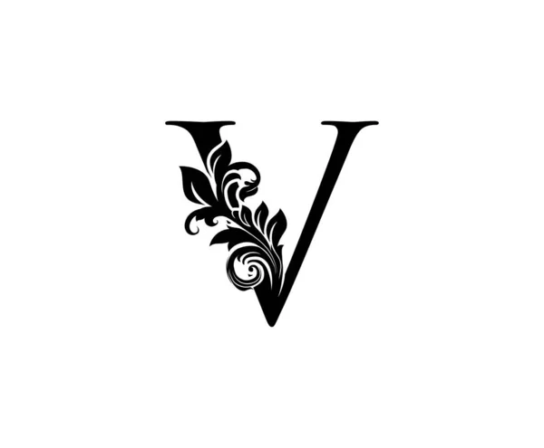 Черный Цветочный Шейповым Дизайном Листвы Идеально Подходит Бутика Ювелирного Магазина — стоковый вектор