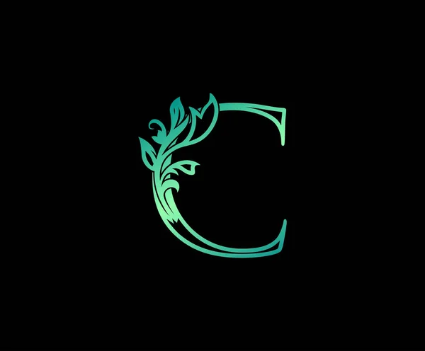 Hoja Naturaleza Letra Logo Vector Diseño Letras Con Colores Verdes — Vector de stock