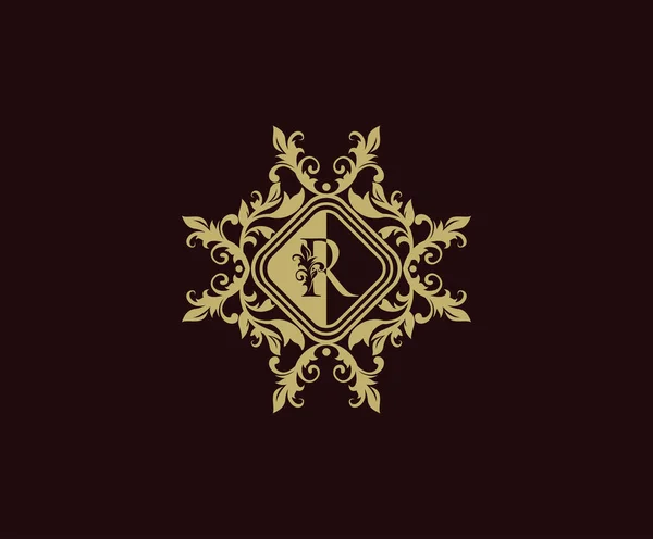Розкішний Дизайн Логотипу Початковим Elegant Процвітає Letter Шаблон Логотипу Різьбленої — стоковий вектор