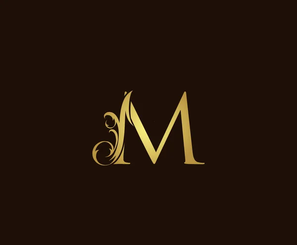 Golden Luxury Logo Ikon Klassisk Brev Logotyp Design — Stock vektor