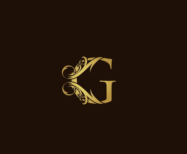 Золотий Розкішний Логотип Іконка Елегантний Літер Дизайн Логотипу — стоковий вектор