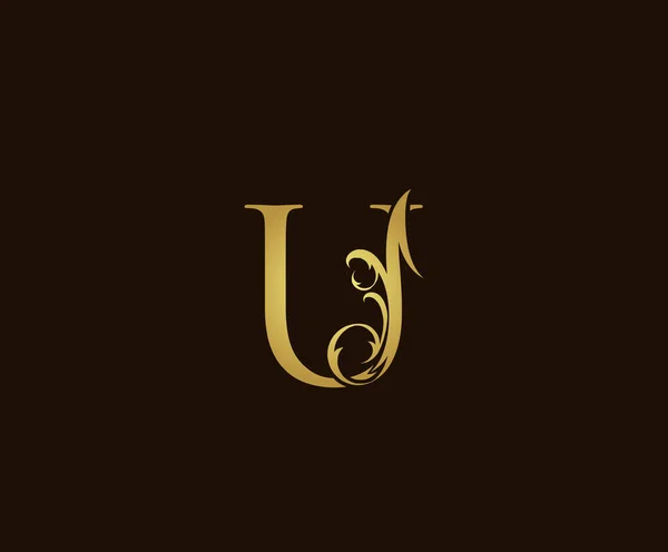 Golden Icon Logotipo Luxo Elegante Carta Logo Design — Vetor de Stock