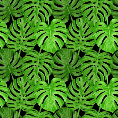 Monstera seamless modeli