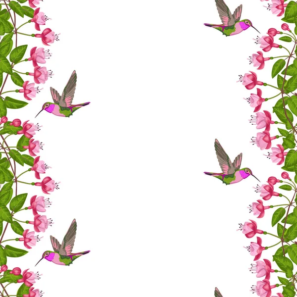 Fuchsia and Hummingbird Seamless Border — Stock Vector