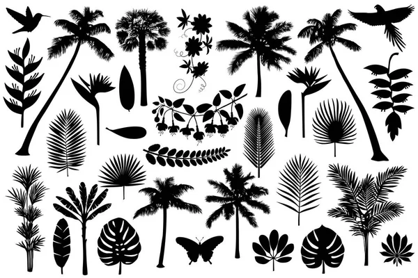 Tropical Silhouette Collection — Stock Vector