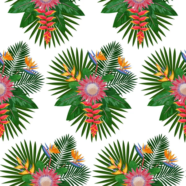 Modèle sans couture tropical avec Protea — Image vectorielle