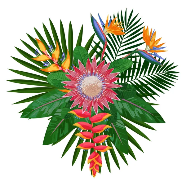 Tropical Bouquet Composition with Protea — Stock Vector