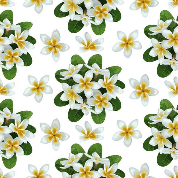 Plumeria Seamless Pattern — Stock Vector