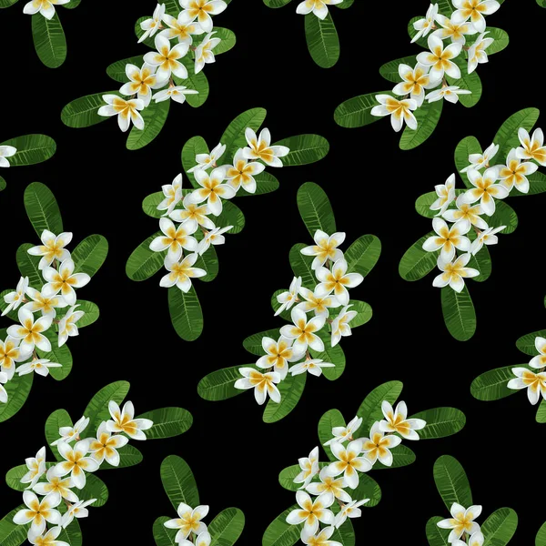 Modèle sans couture Plumeria — Image vectorielle