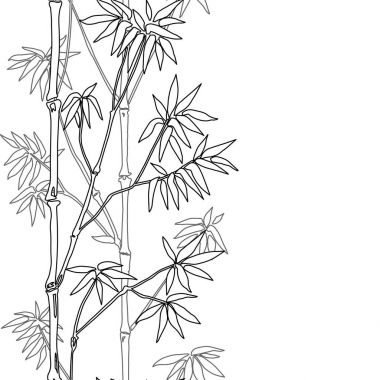 Bambu kesintisiz dikey kenarlık