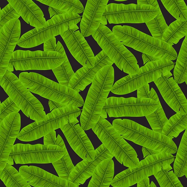 Muz yaprakları seamless modeli