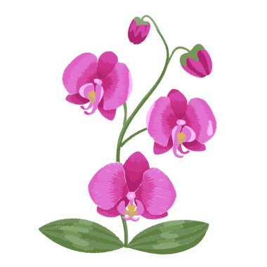 Pembe orkide nakış