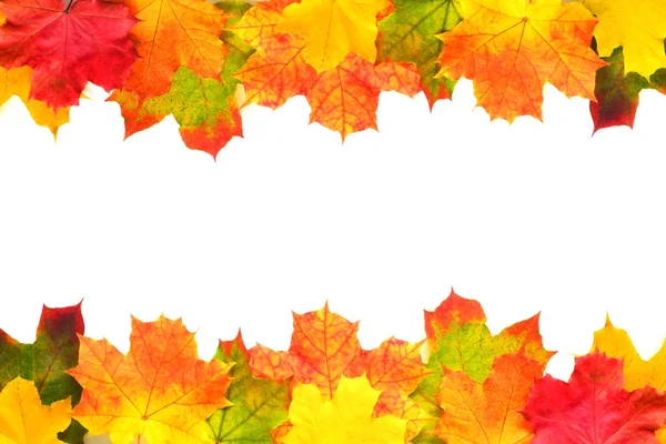 sınır sonbahar yaprakları