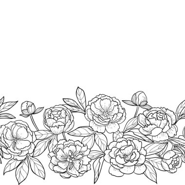 Peonies sorunsuz ufuk kenarlık