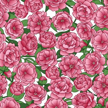 Peonies seamless modeli
