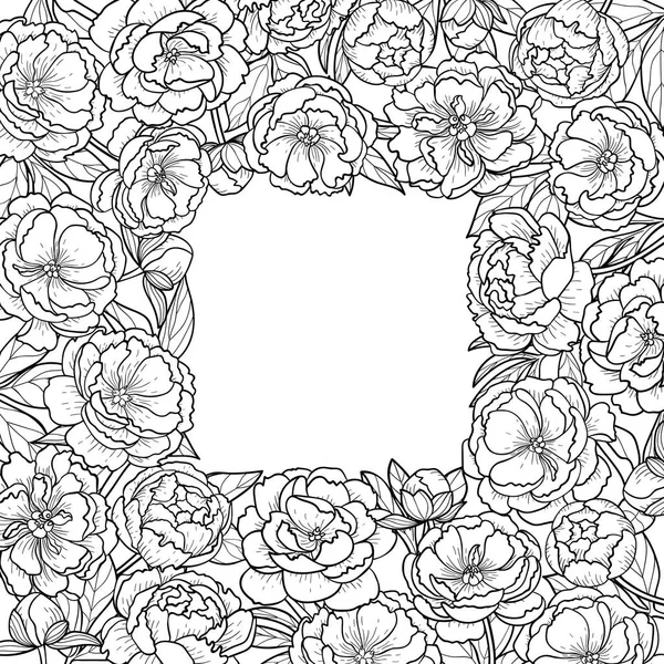 Pivoines Cadre carré — Image vectorielle