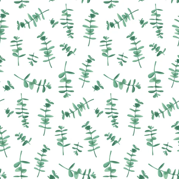 Modèle sans couture eucalyptus — Image vectorielle