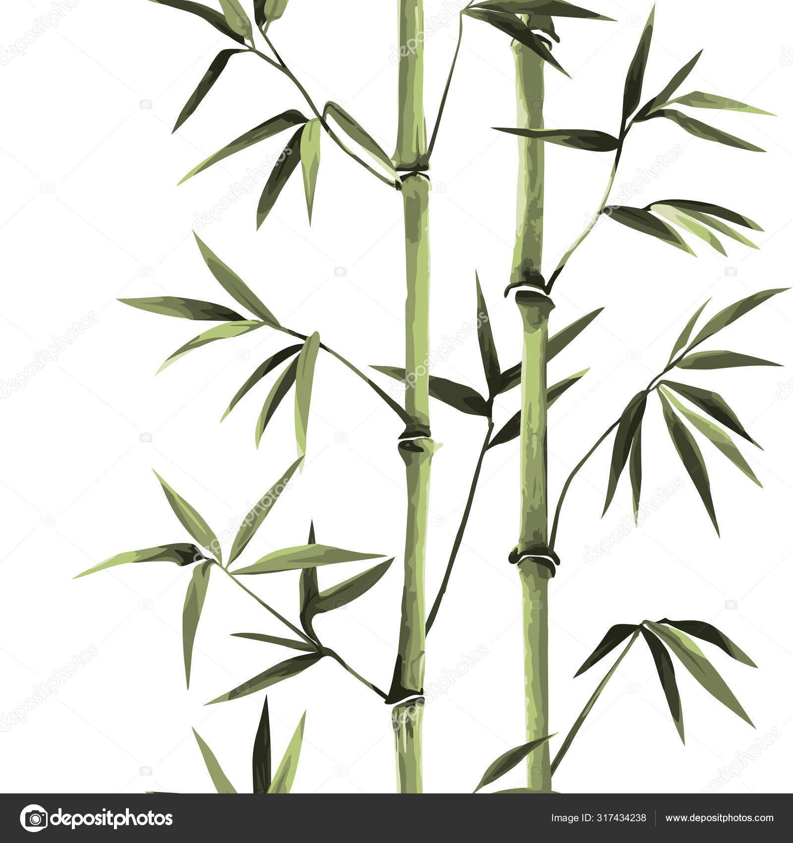 Frontera vertical sin costuras de bambú sobre fondo blanco Vector de stock  #317434238 de ©KronaLux, image size:1600x1700