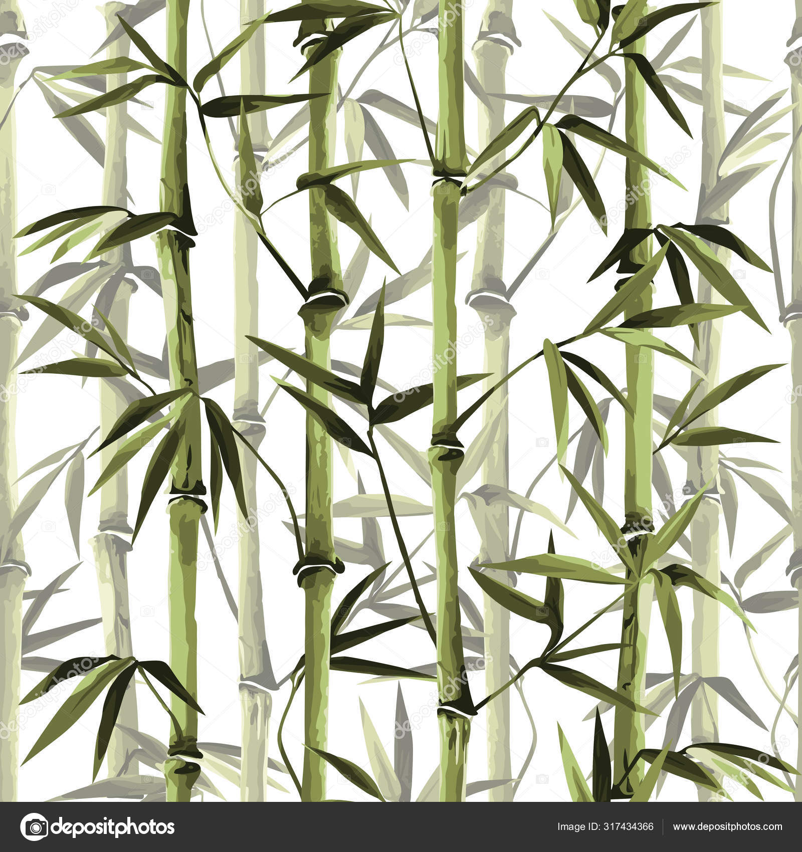 Frontera vertical sin costuras de bambú sobre fondo blanco Vector de stock  #317434366 de ©KronaLux, image size:1600x1700