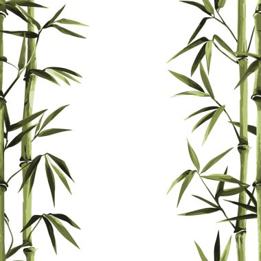 Beyaz arkaplanda Bambu Kusursuz Dikey Kenar