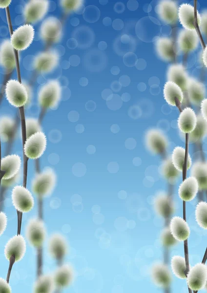 Rami di salice su cielo blu con modello effetto bokeh . — Vettoriale Stock