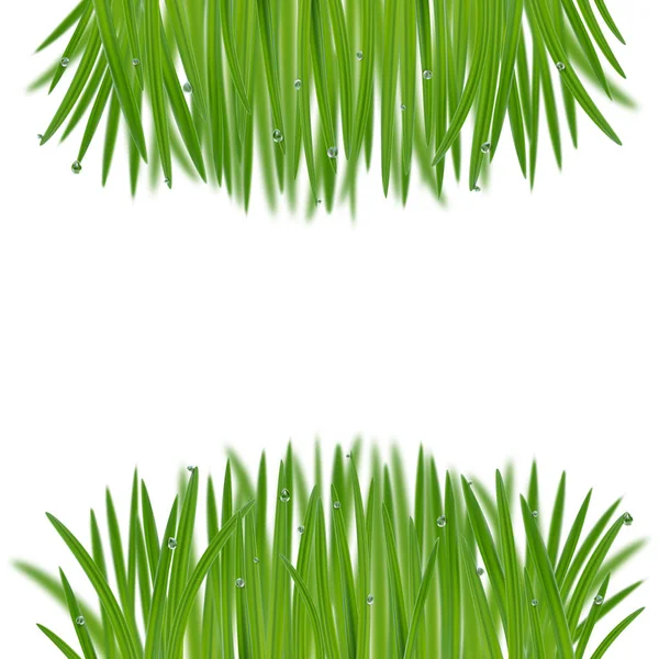 Natural frame from grass with bokeh effect — ストックベクタ