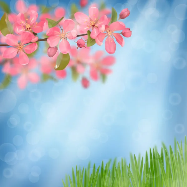 Pembe çiçekli kiraz dalları ve bokeh efektli yeşil çimenler. — Stok Vektör