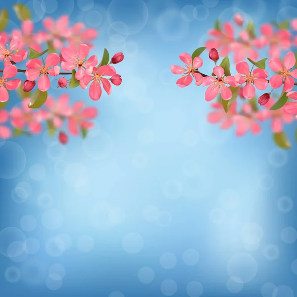 Ramas de cerezo florecientes rosas con efecto bokeh — Vector de stock