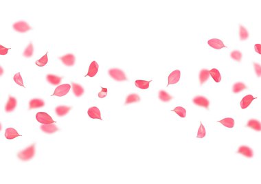 Bokeh etkisine sahip pembe kiraz yaprakları.