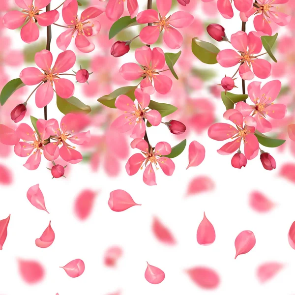 Ciliegia in fiore rosa e petali cadenti con bordo senza cuciture effetto bokeh — Vettoriale Stock