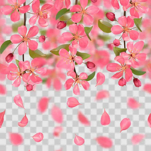 Pink blossoming cherry and falling petals with bokeh effect seamless border — Stock Vector