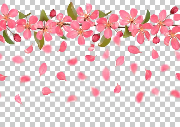 Pink blossoming cherry branches with bokeh effect seamless pattern — Stock Vector