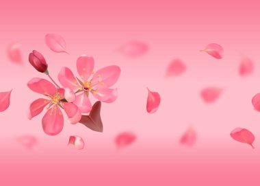 Kiraz çiçekleri, sakura, badem çiçekleri ve çarşaf yapraklarıyla kusursuz desen. Vektör bahar yinelemesi arka plan, duvar kağıdı, iç ve romantik tekstil baskısı.