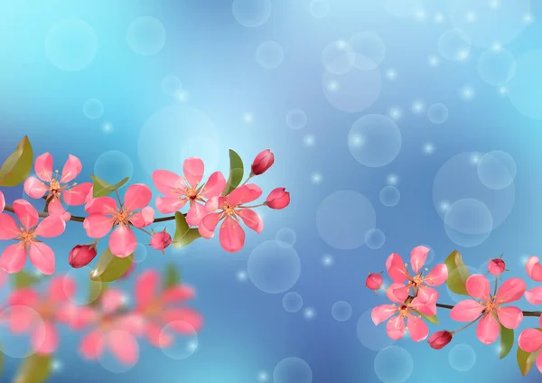 Schmetterlings Und Kirschblüten Mit Bokeh Effekt Frühlingsvektorillustration Natürlicher Hintergrund Romantische — Stockvektor