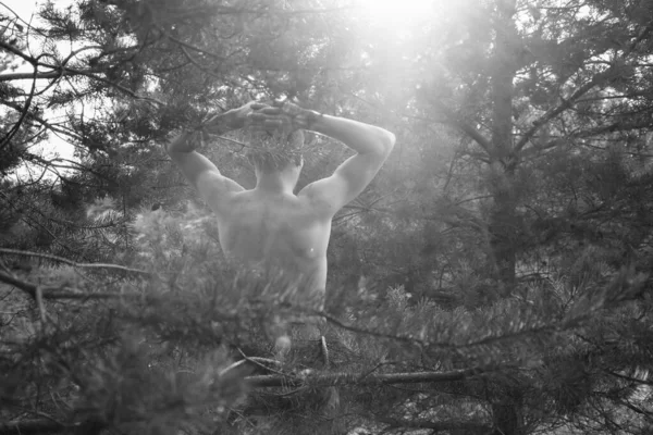 Gün batımına bakan genç bir adam.