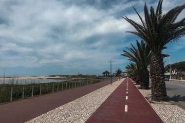 Bisikletler ve yayalar için palmiye ağaçları olan kıyı şeridi kırmızı yolu