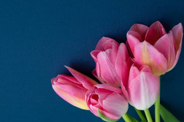 Fotoğrafın sağ köşesinde klasik mavi arkaplanda pembe laleler.