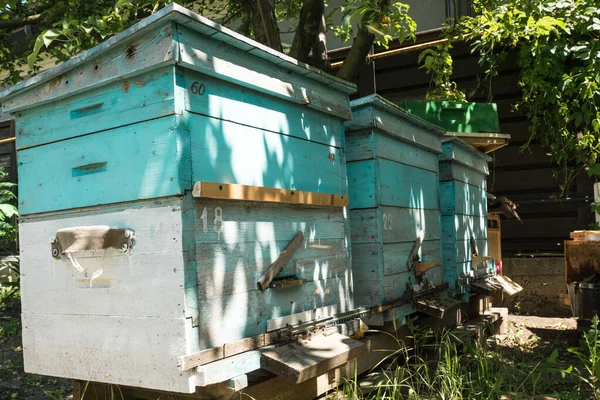 Drei Bienenstöcke Stehen Garten Und Die Bienen Sammeln Honig — Stockfoto