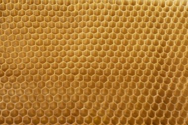  Altıgen şekilli bal için boş hücreleri olan Beecomb arkaplanı, apikultür kavramı