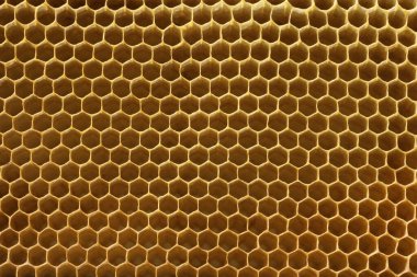 Bal için boş hücreleri olan sarı Beecomb arka planı ve altıgen şekilli arılar, apikultür konsepti