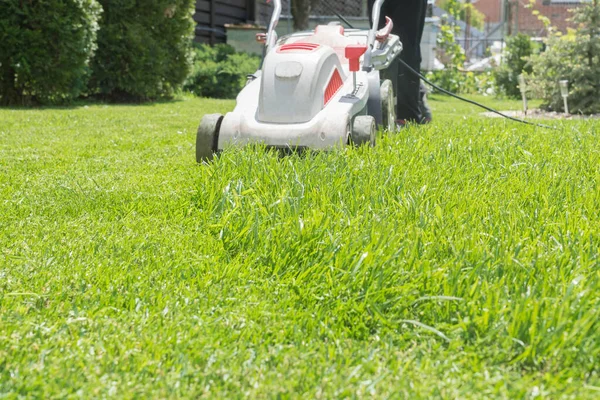 lawn mower mows grass in the yard. a child drives a lawn mower. line of mowed and unmowed grass. home and garden activities concept