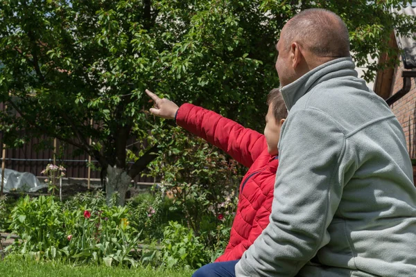 Opa Und Enkel Sitzen Zusammen Grünen Garten Junge Zeigt Nach — Stockfoto
