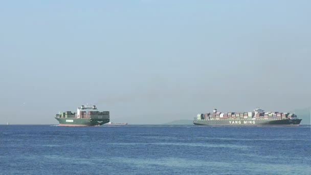 Statków towarowych, ładowane z kontenerami żeglarstwo morza — Wideo stockowe