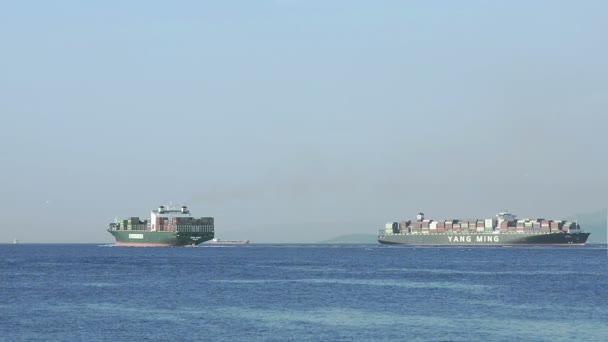 Vrachtschepen geladen met Containers zeilen van de zee — Stockvideo